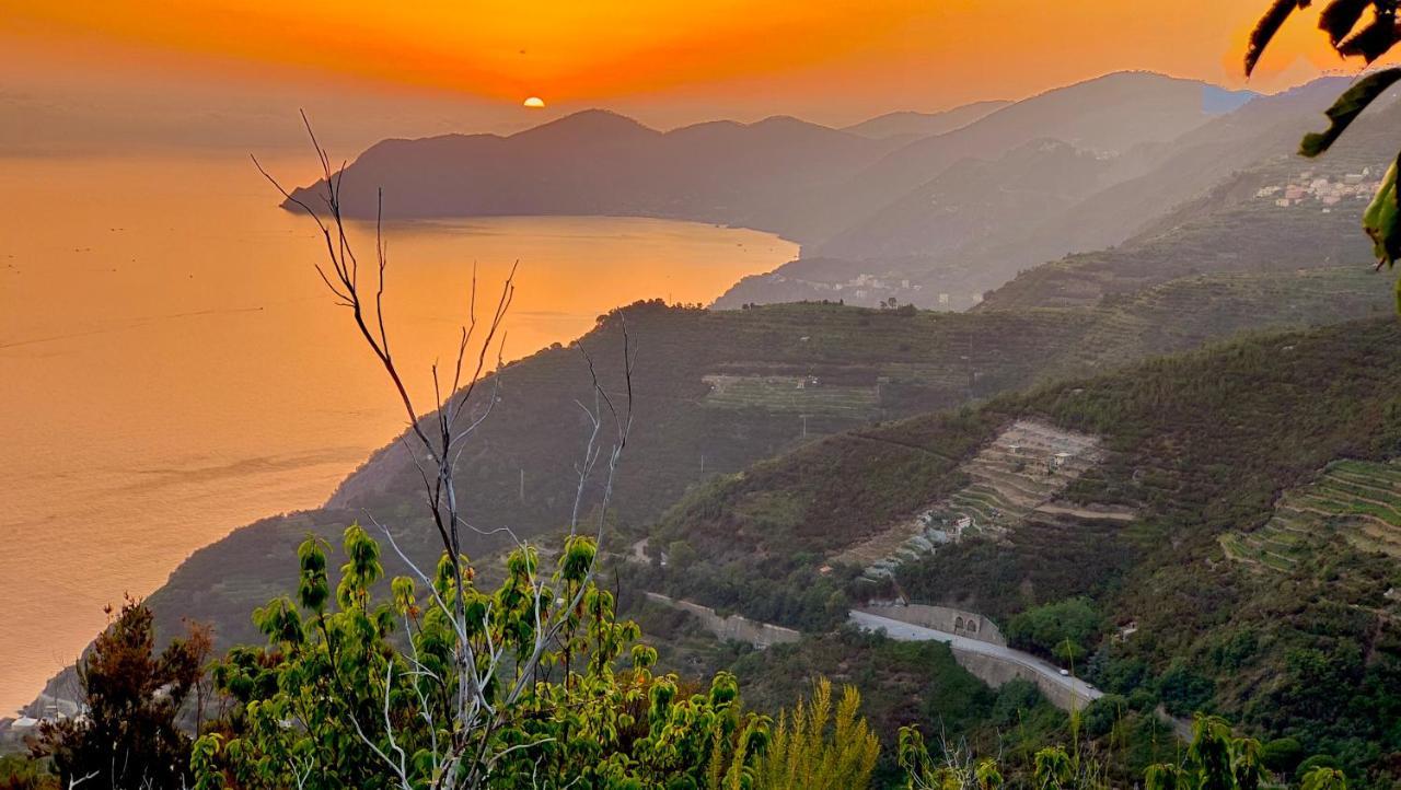 La Casa Delle Pietre Parlanti - Casa In Pietra Ai Piedi Del Parco Delle 5 Terre Bed & Breakfast Biassa Eksteriør bilde